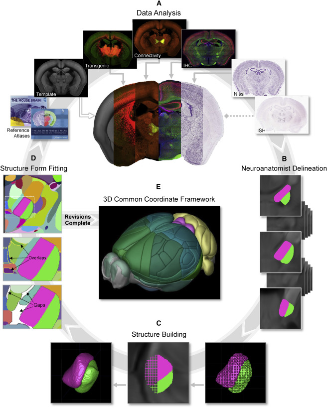 Annotation Workflow for Building 3D Structures.