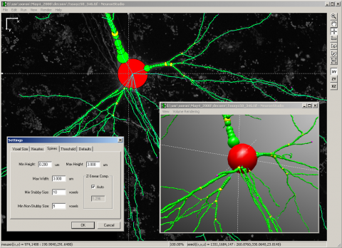 NeuronStudio_standaloneapp_window_overview