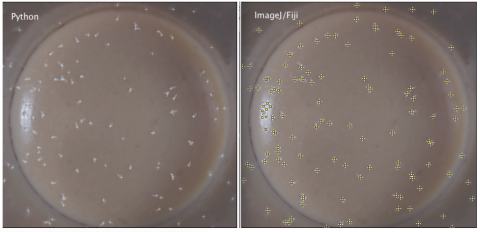 find maxima comparison.