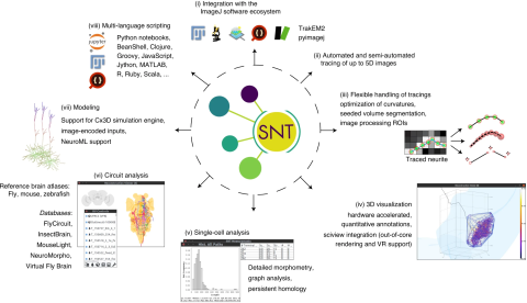Schematic Overview of SNT components and SNT functionality