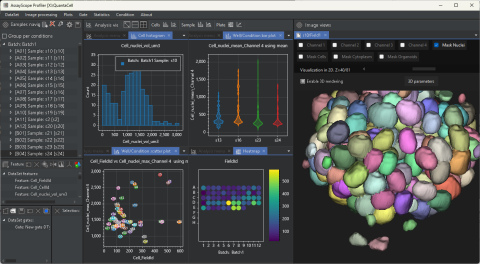 AssayScope software for quantitative 2D and 3D organoid image analysis