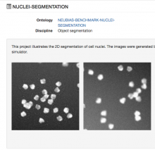 cellprofiler intensity segmentation