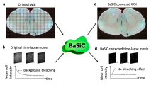 A BaSiC Tool for Background and Shading Correction of Optical Microscopy Images