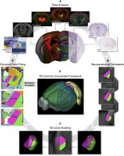 Annotation Workflow for Building 3D Structures.