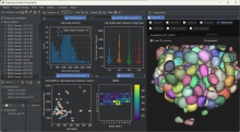 AssayScope software for quantitative 2D and 3D organoid image analysis