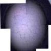 Profile picture for user Maria Kuchma